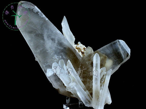 日本律雙晶，內(nèi)蒙古東烏珠穆沁旗，額仁高畢,六井,976層,2016年產(chǎn)出