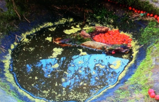 長沙市譚力礦產(chǎn)品有限公司,長沙礦產(chǎn)品銷售,工藝品銷售,鉆石飾品批發(fā) 長沙市譚力礦產(chǎn)品有限公司,長沙礦產(chǎn)品銷售,工藝品銷售,鉆石飾品批發(fā)