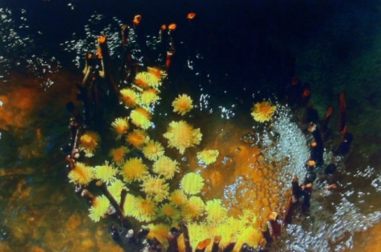 長沙市譚力礦產(chǎn)品有限公司,長沙礦產(chǎn)品銷售,工藝品銷售,鉆石飾品批發(fā) 長沙市譚力礦產(chǎn)品有限公司,長沙礦產(chǎn)品銷售,工藝品銷售,鉆石飾品批發(fā)